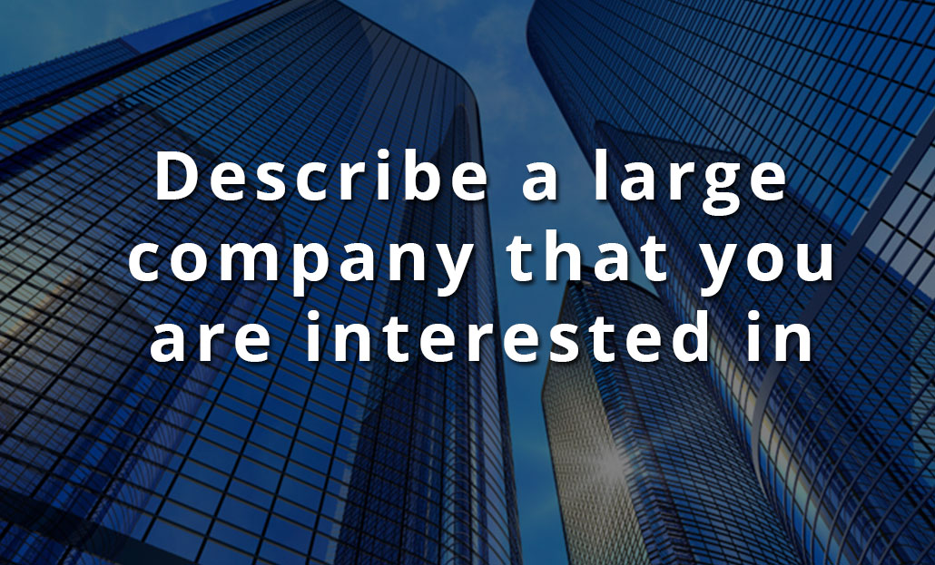 Describe a large company that you are interested in